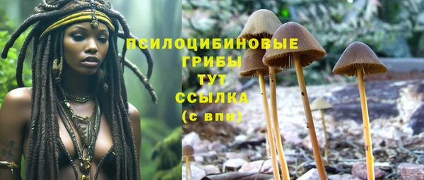 наркотики Новозыбков