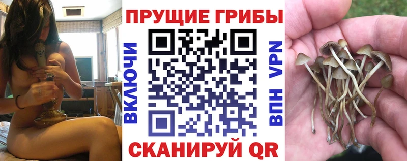 закладка  OMG как зайти  Галлюциногенные грибы Psilocybe  Лосино-Петровский 