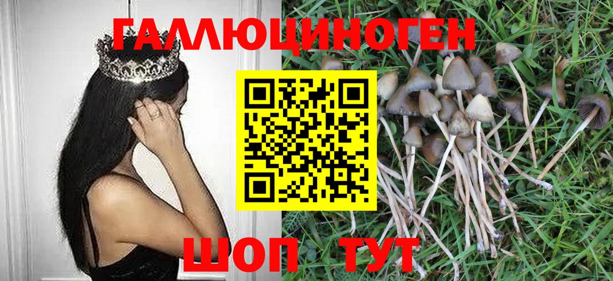 Псилоцибиновые грибы MAGIC MUSHROOMS  Лосино-Петровский 