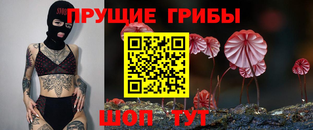 Лосино-Петровский  Псилоцибиновые грибы прущие грибы  цена   Вход с VPN 