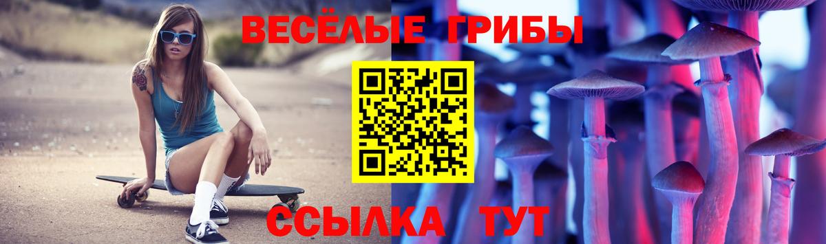 Галлюциногенные грибы Лосино-Петровский